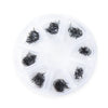 10D Loose fans lash pointy base 480 fans DeerLashes