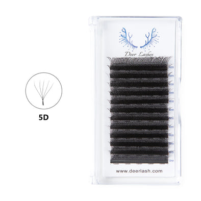 5D Clover Lash  0.05 DeerLashes